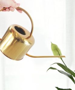 Flo Stainless Steel Watering Can