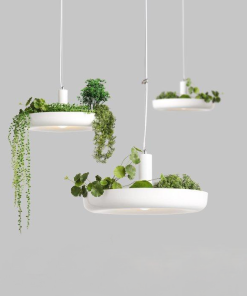 Natura Pendant Light