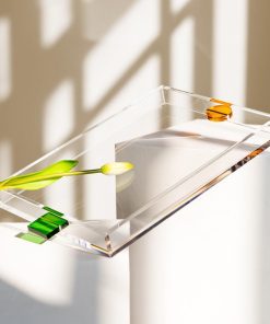 Neon Acrylic Tray